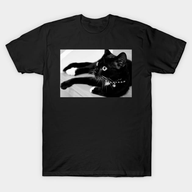 Kitty at Rest T-Shirt by jillnightingale